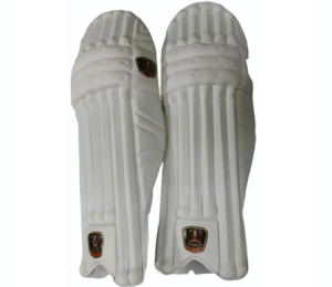 Cricket Pads Manufacturers in Meerut - TN Sports