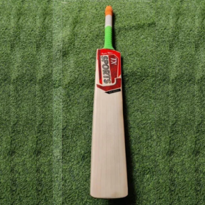 Cricket Bat Manufacturers in Meerut - TN Sports